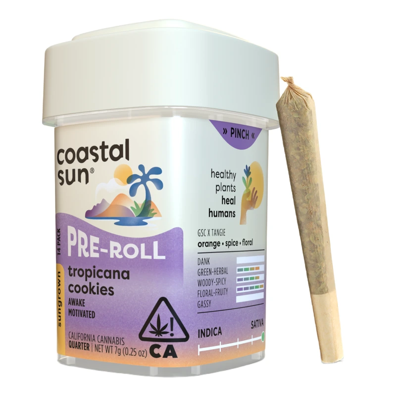 Coastal Sun: Tropicana Cookies