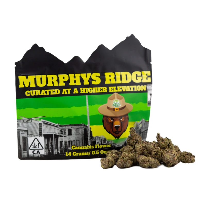 Murphys Ridge: Gas Station Zushi