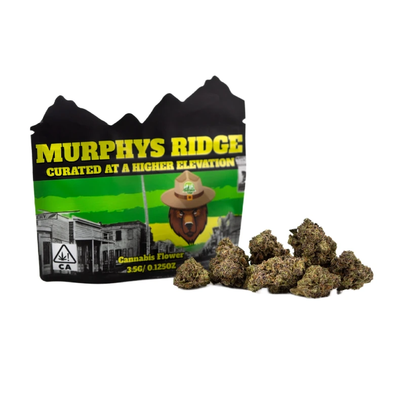 Murphys Ridge: Gas Station Zushi
