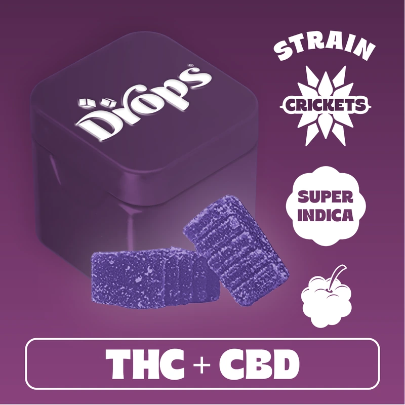 LIVE ROSIN GUMMY 2PK [100MG] 1:2 THC:CBD BLACKBERRY