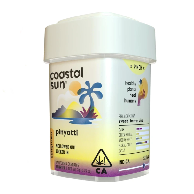 Coastal Sun: Pinyatti 7G
