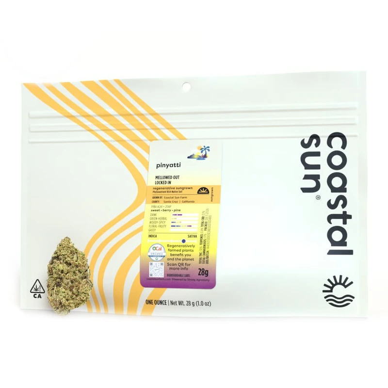 Coastal Sun: Pinyatti 28G