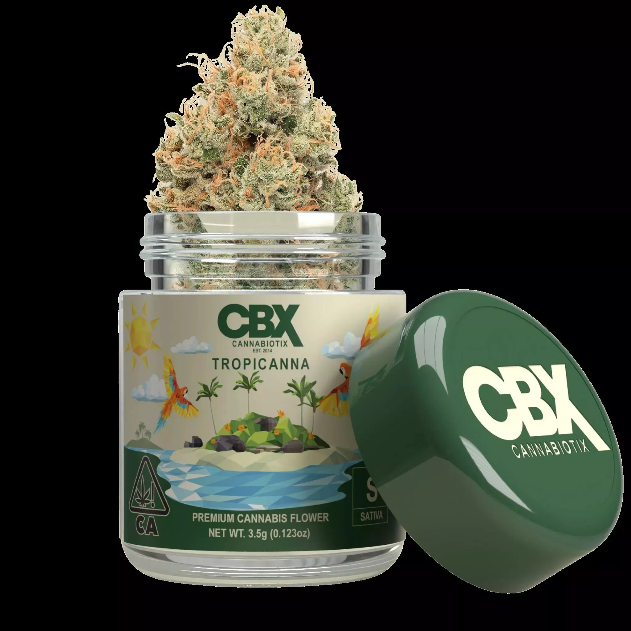 FLOWER [3.5G] TROPICANNA product image