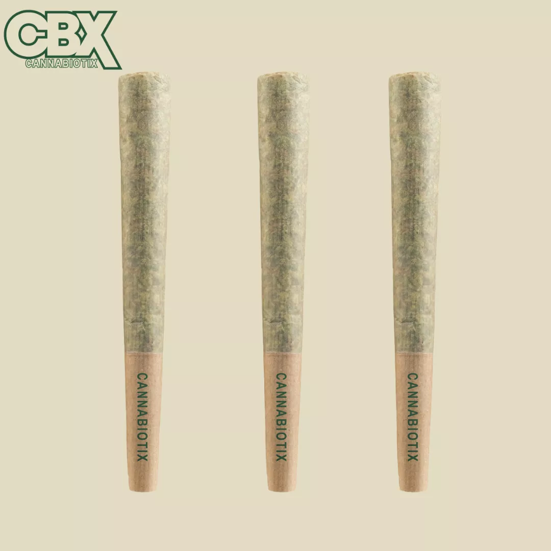 L'ORANGE PREROLL .75G