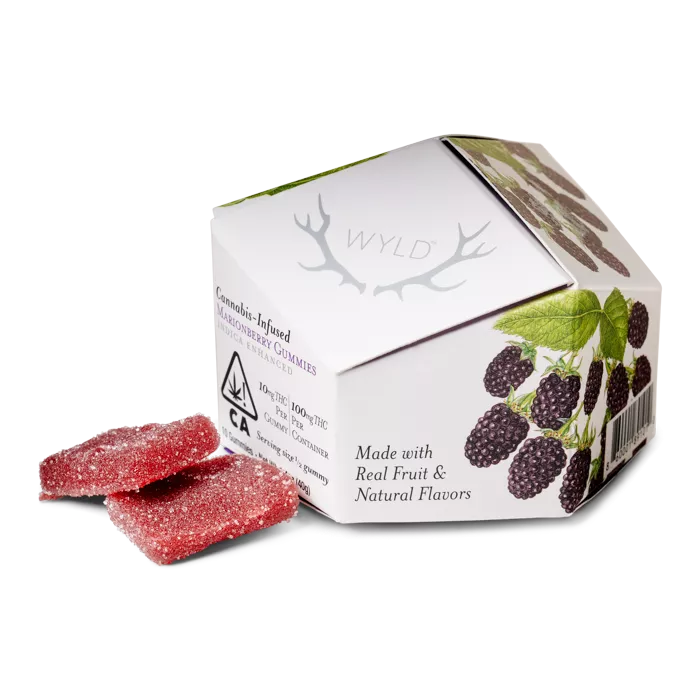 GUMMIES 10PK [100MG] MARIONBERRY product image