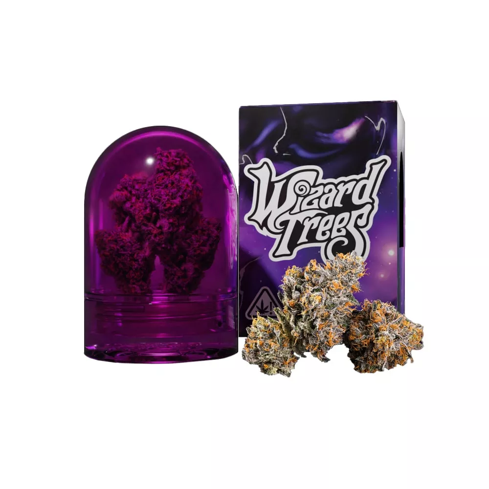 ZOZA 3.5G - 3.5 G