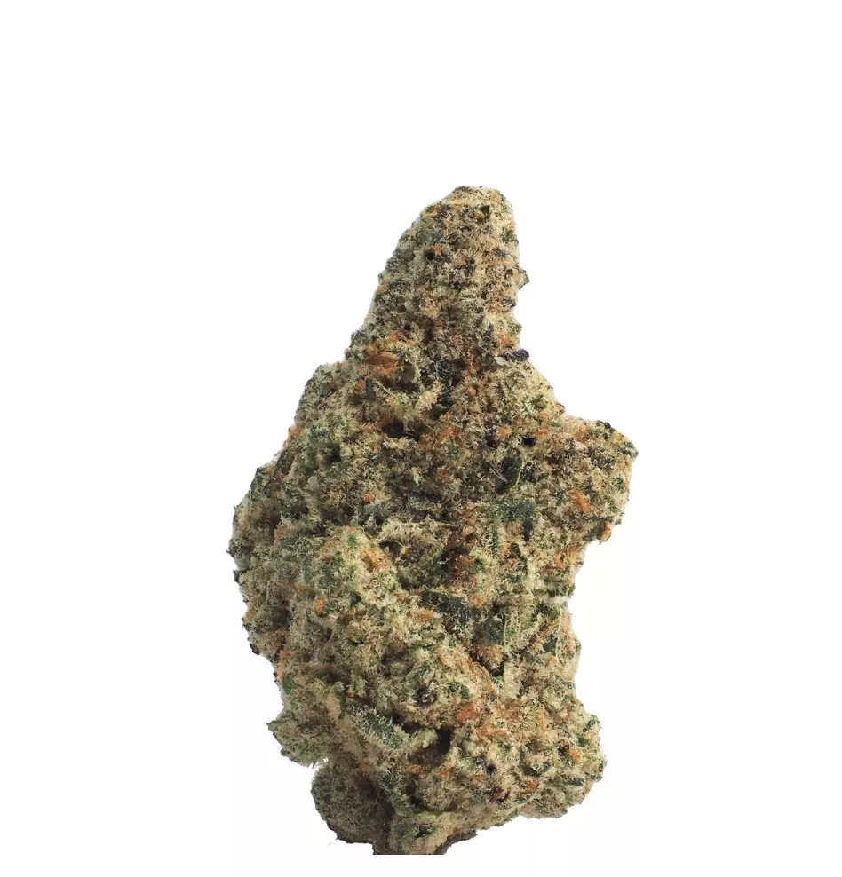FLOWER [3.5G] PALETAZ