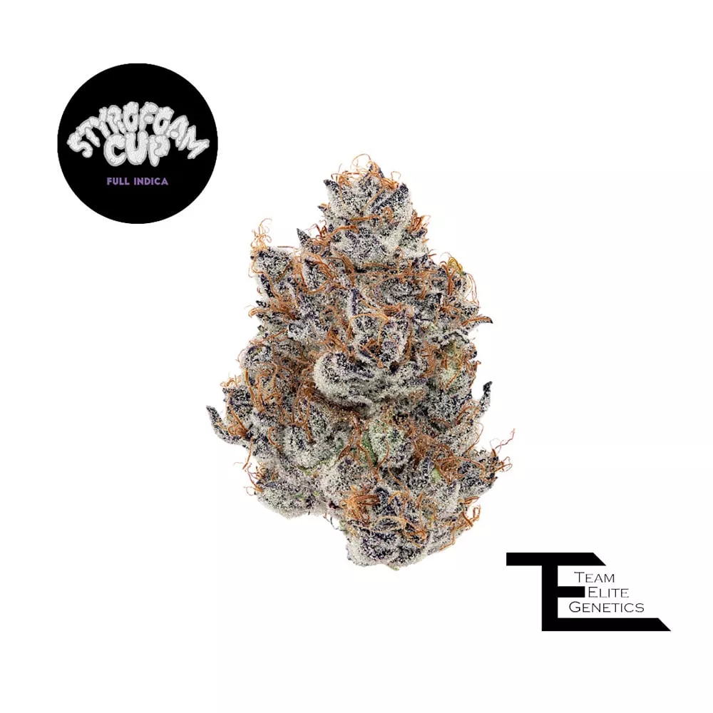 TEAM ELITE GENETICS - STYROFOAM CUP 3.5G