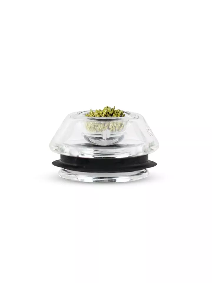 PROXY FLOWER BOWL product image