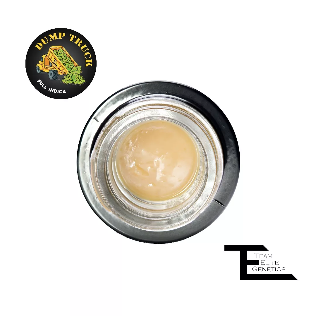 DUMP TRUCK ROSIN 1G (TIER 2) - 1 G