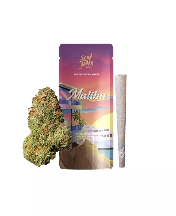 PREROLL [1G] MALIBU - 1 G