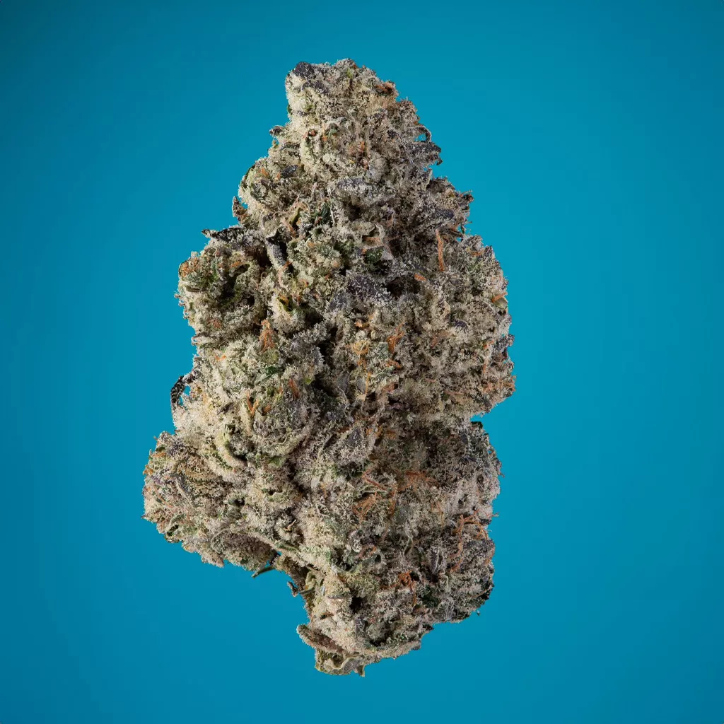 (E) CINNAMON MILK [3.5G]